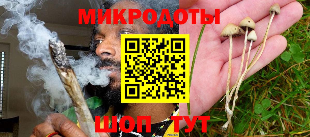 Галлюциногенные грибы Psilocybine cubensis Находка